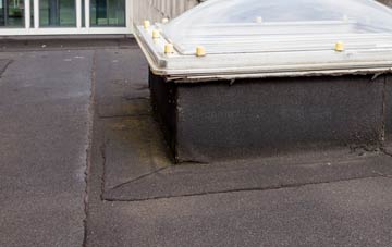 disadvantages of West Bowling flat roofs